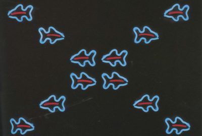 1989 Hauser wall-o-fish