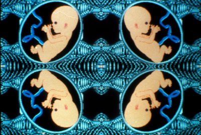 1983 Gillerman Clone Baby