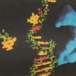 Blobby DNA Molecules
